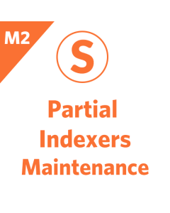 Partial Indexers Maintenance